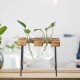 Wooden Frame Vase